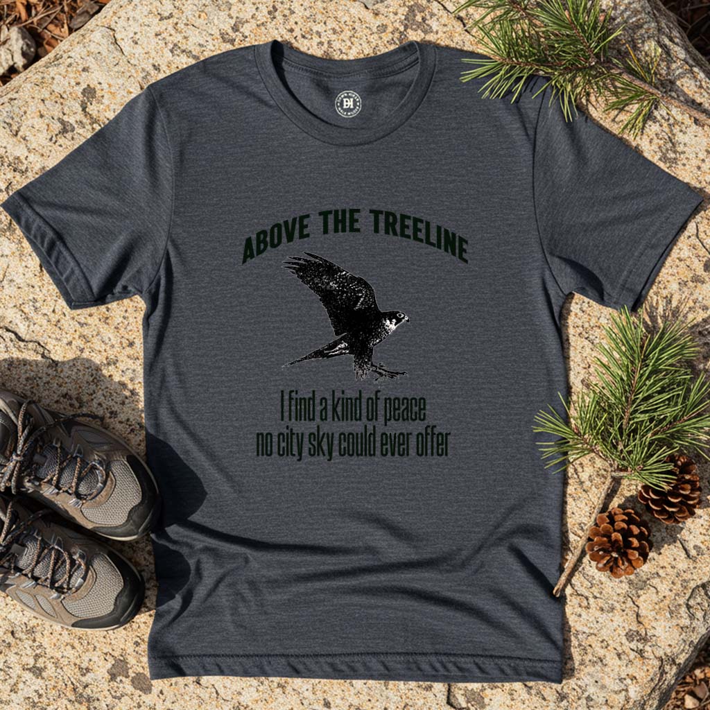 Above the treeline