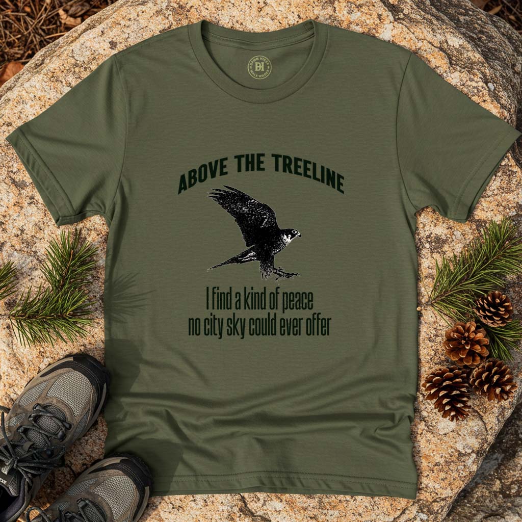 Above the treeline
